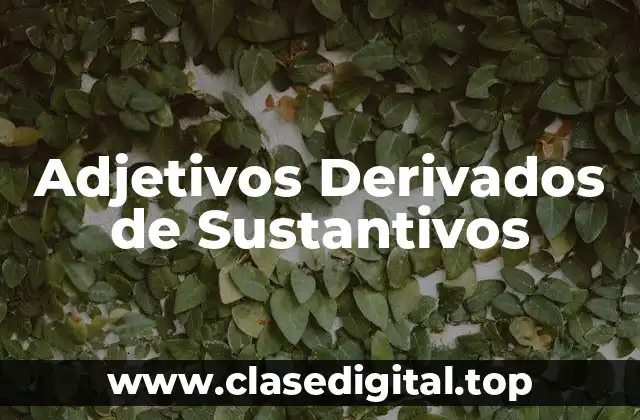 Adjetivos Derivados de Sustantivos