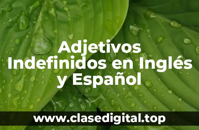 Adjetivos Indefinidos en Inglés y Español
