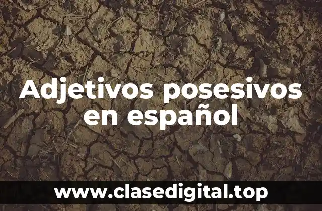 Adjetivos posesivos en español