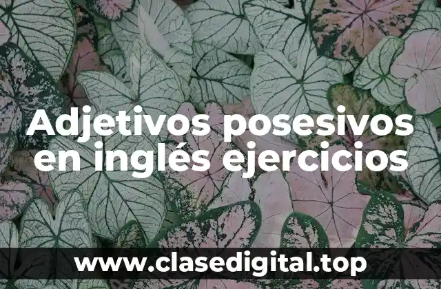 Adjetivos posesivos en inglés ejercicios