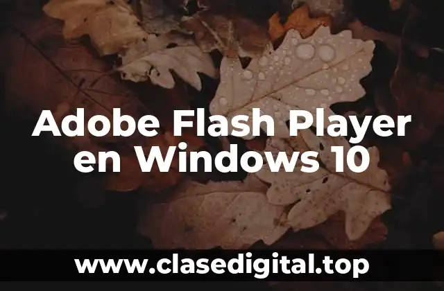 Adobe Flash Player en Windows 10