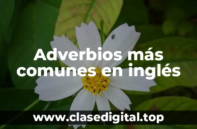 Adverbios más comunes en inglés