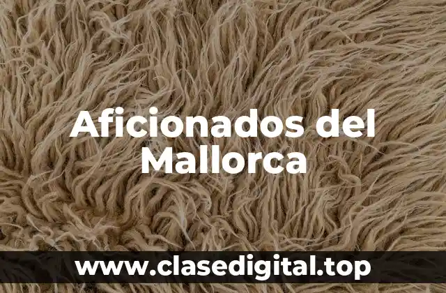 Orígenes de la Afición del Mallorca