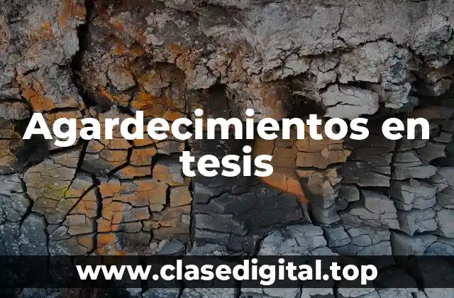 Agardecimientos en tesis
