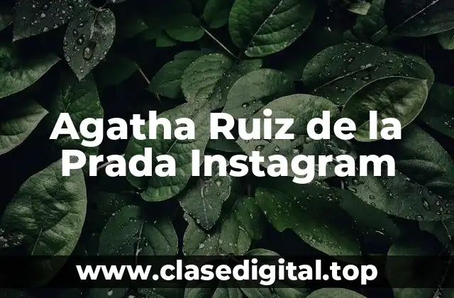 Agatha Ruiz de la Prada Instagram