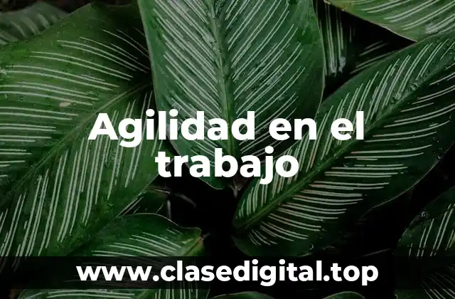 Agilidad en el trabajo