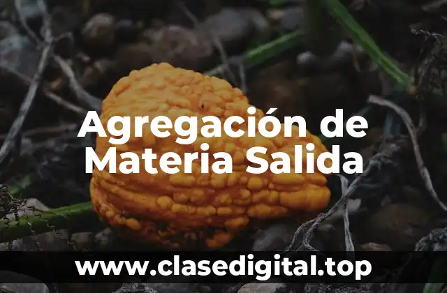 Agregación de Materia Salida