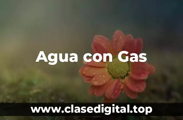 Beneficios del Agua con Gas para la Salud