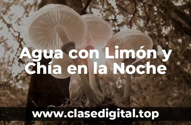 Agua con Limón y Chía en la Noche