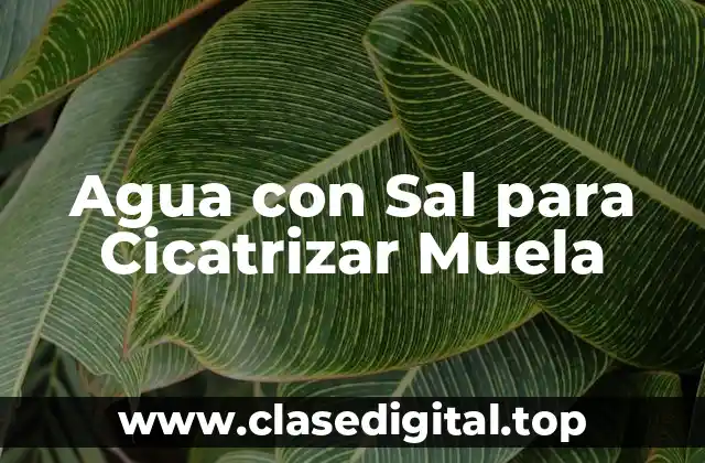 Agua con Sal para Cicatrizar Muela