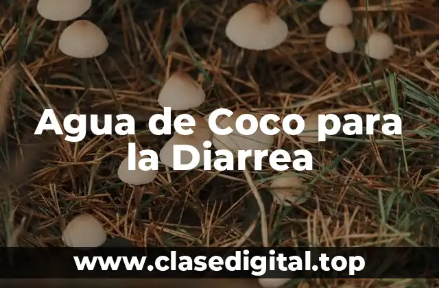 ¿Qué es el Agua de Coco?