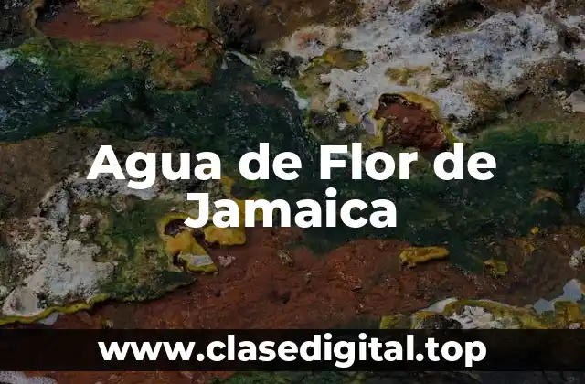 Agua de Flor de Jamaica