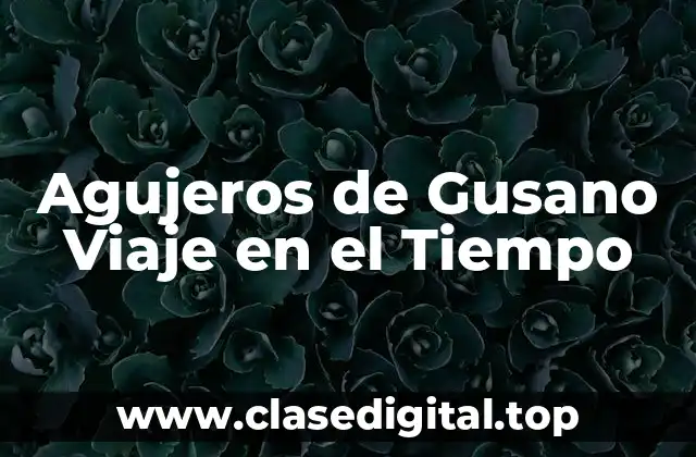 Agujeros de Gusano Viaje en el Tiempo