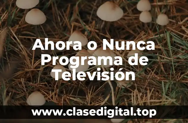 ¿Qué es Ahora o Nunca Programa de Televisión?