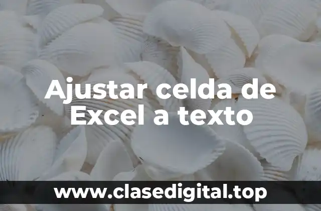 ¿Por qué es importante ajustar celda de Excel a texto?