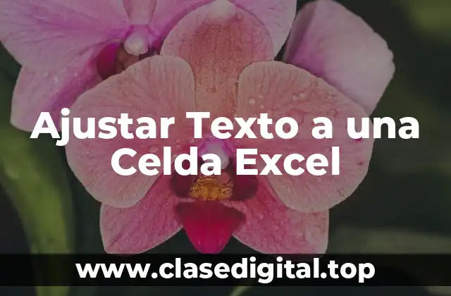 Ajustar Texto a una Celda Excel