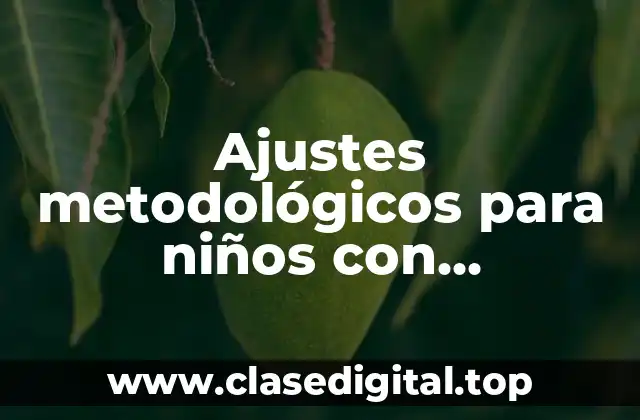 Ajustes metodológicos para niños con necesidades educativas especiales