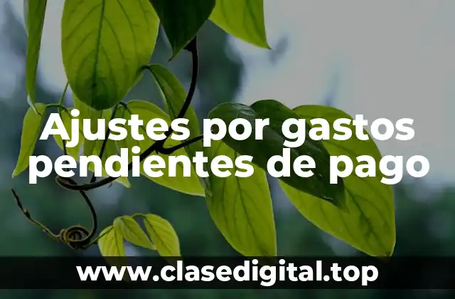 Ajustes por gastos pendientes de pago