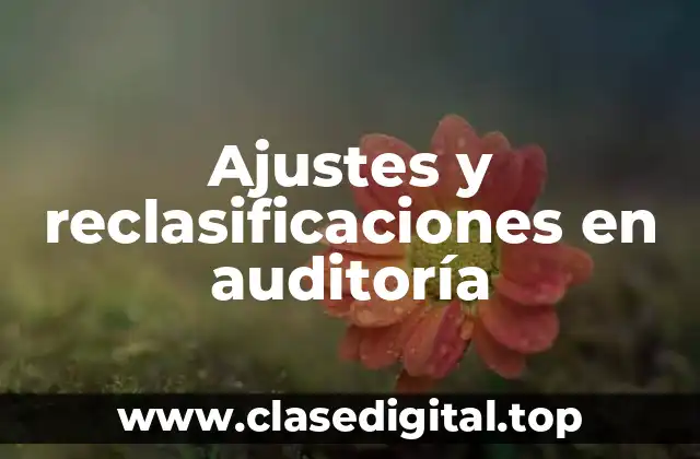 Ejemplos de ajustes y reclasificaciones en auditoría