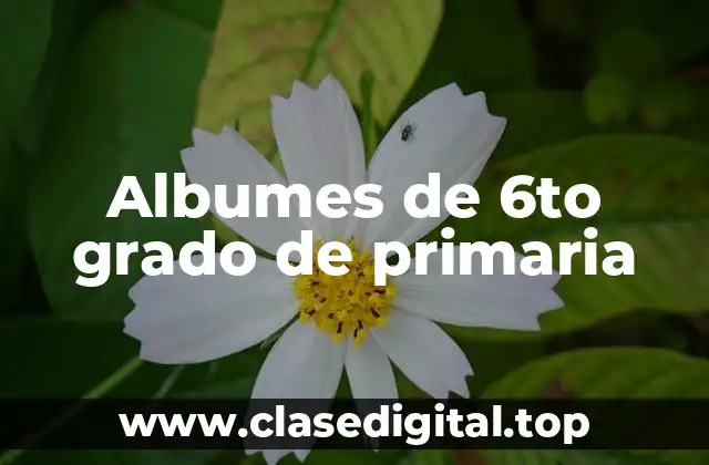 Albumes de 6to grado de primaria