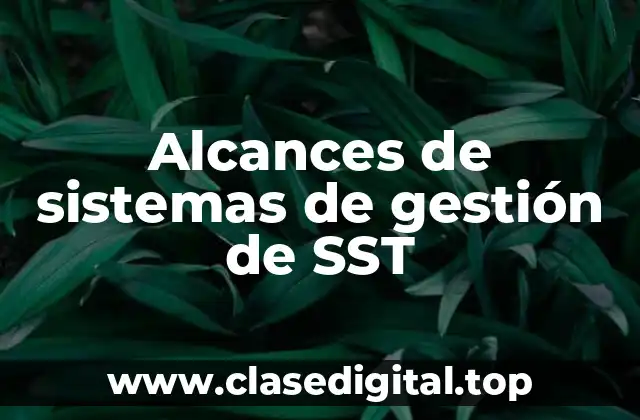 Alcances de sistemas de gestión de SST