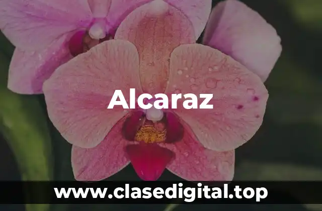 Alcaraz