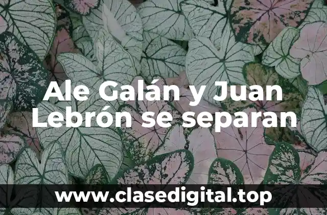 Ale Galán y Juan Lebrón se separan