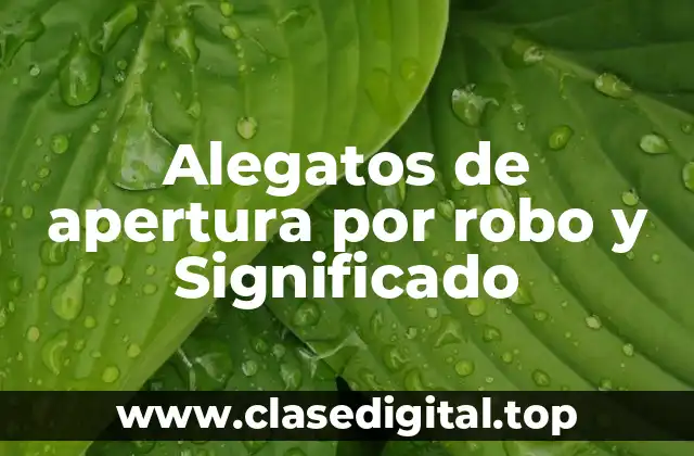 Alegatos de apertura por robo y Significado