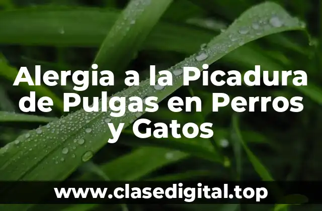 Causas de la Alergia a la Picadura de Pulgas