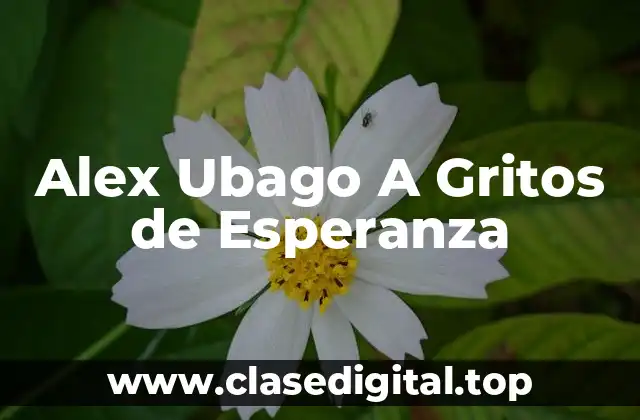 Alex Ubago A Gritos de Esperanza