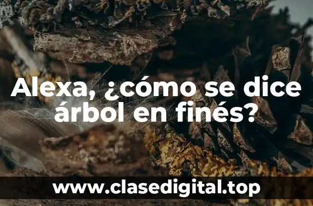 Fonología y alfabeto finés