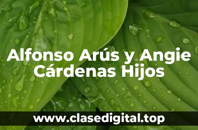 ¿Quién es Alfonso Arús?