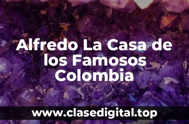 ¿Qué es Alfredo La Casa de los Famosos Colombia?