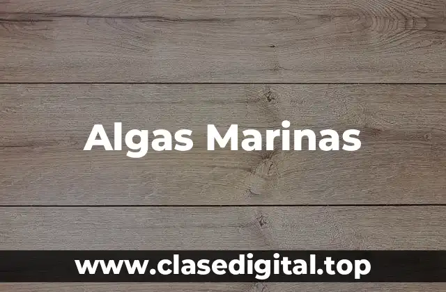 Algas Marinas