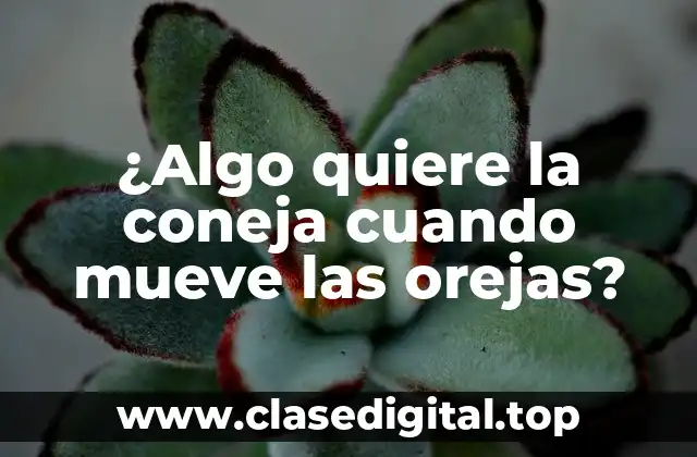 La comunicación en los conejos