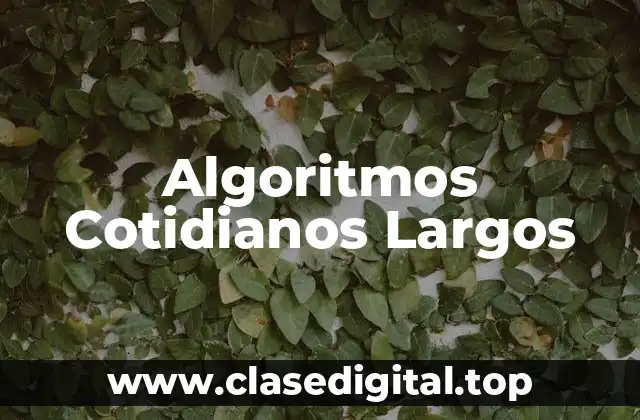 Algoritmos Cotidianos Largos