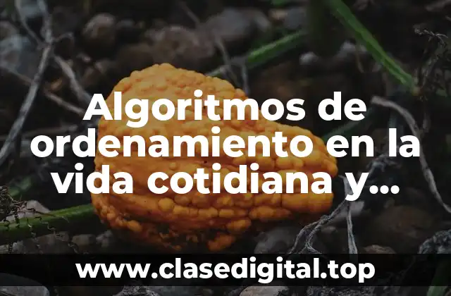 Algoritmos de ordenamiento en la vida cotidiana y Significado