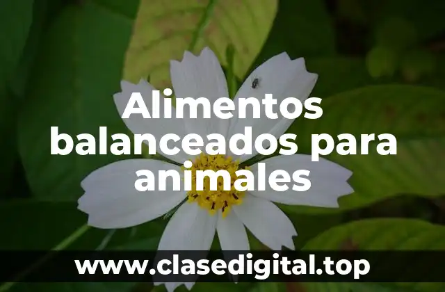 Alimentos balanceados para animales