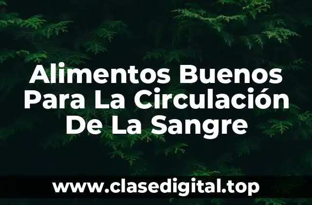 Alimentos Buenos Para La Circulación De La Sangre