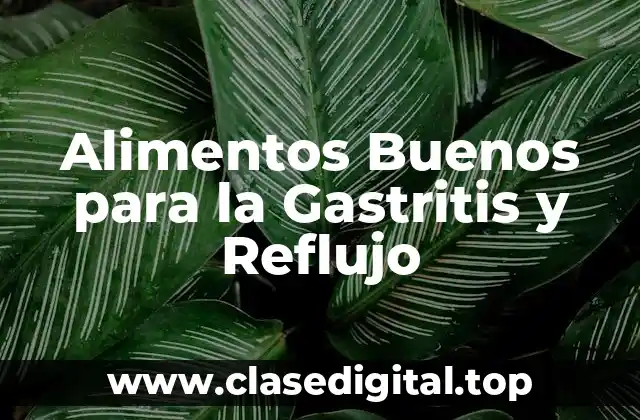 Alimentos Buenos para la Gastritis y Reflujo