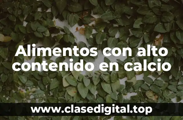 Alimentos con alto contenido en calcio