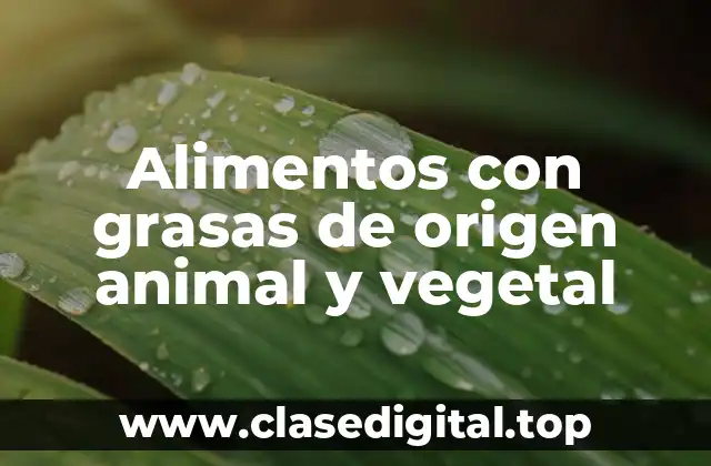 Alimentos con grasas de origen animal y vegetal