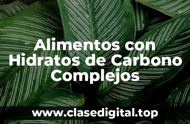 Alimentos con Hidratos de Carbono Complejos