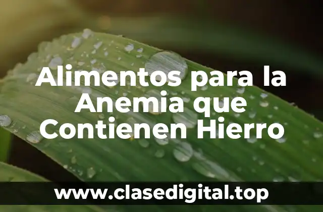 ¿Cuánto Hierro Necesito?