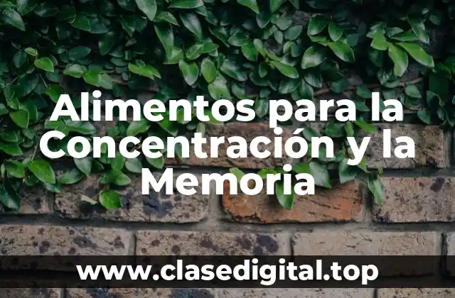 ¿Qué Alimentos son Buenos para la Concentración y la Memoria?