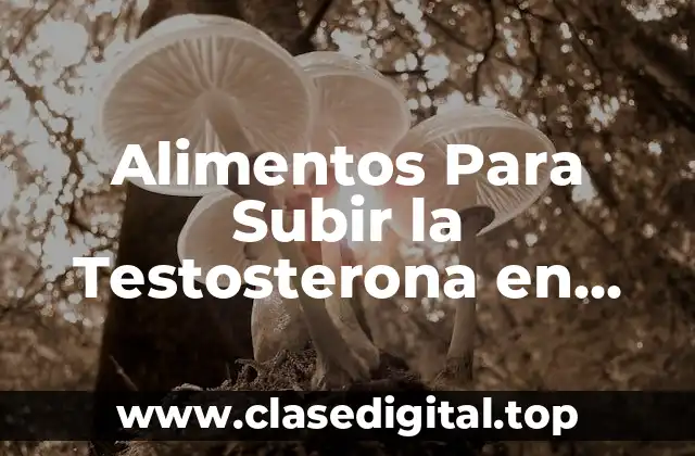 Alimentos Para Subir la Testosterona en Hombres