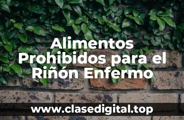 Alimentos Prohibidos para el Riñón Enfermo
