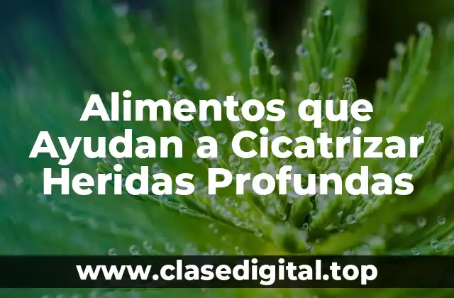 Alimentos que Ayudan a Cicatrizar Heridas Profundas