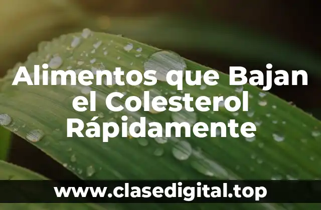 Alimentos que Bajan el Colesterol Rápidamente