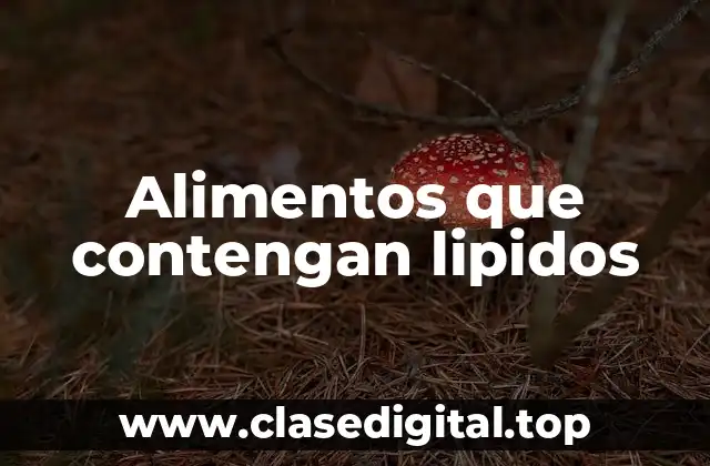 Alimentos que contengan lipidos